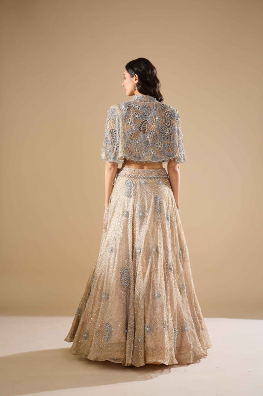 Champagne Tissue Lehenga Set