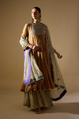 Gold Tissue Anarkali Set
