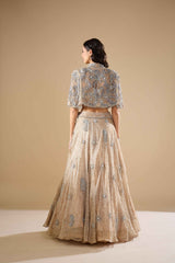 Champagne Tissue Lehenga Set