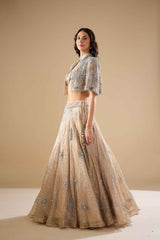 Champagne Tissue Lehenga Set