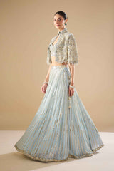 Powder Blue Georgette Lehenga Set