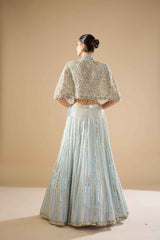 Powder Blue Georgette Lehenga Set