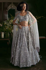 Silver Lehenga Set